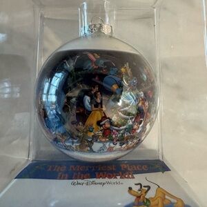 Wdw ornament